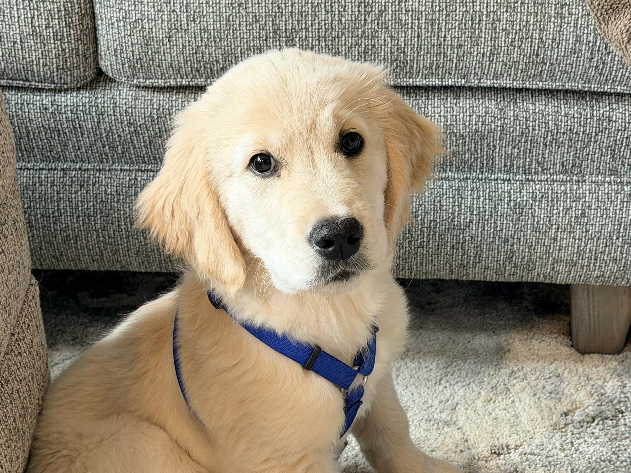 Photo of Elliot